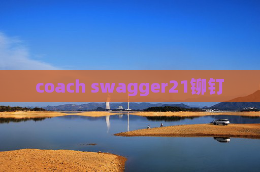 coach swagger21铆钉